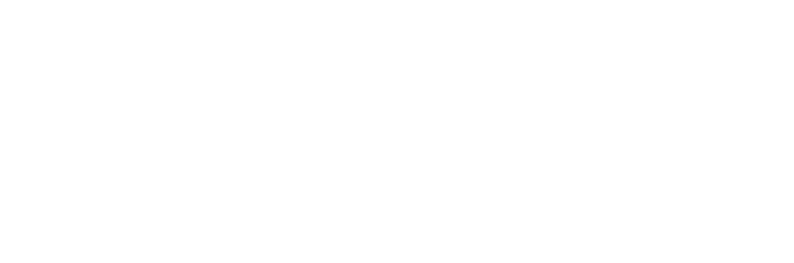 Coaching for Executive Function
